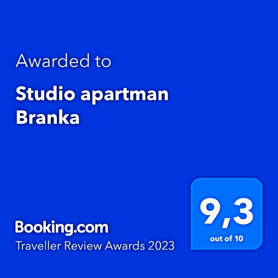 לאבין Studio Apartman Branka מראה חיצוני תמונה