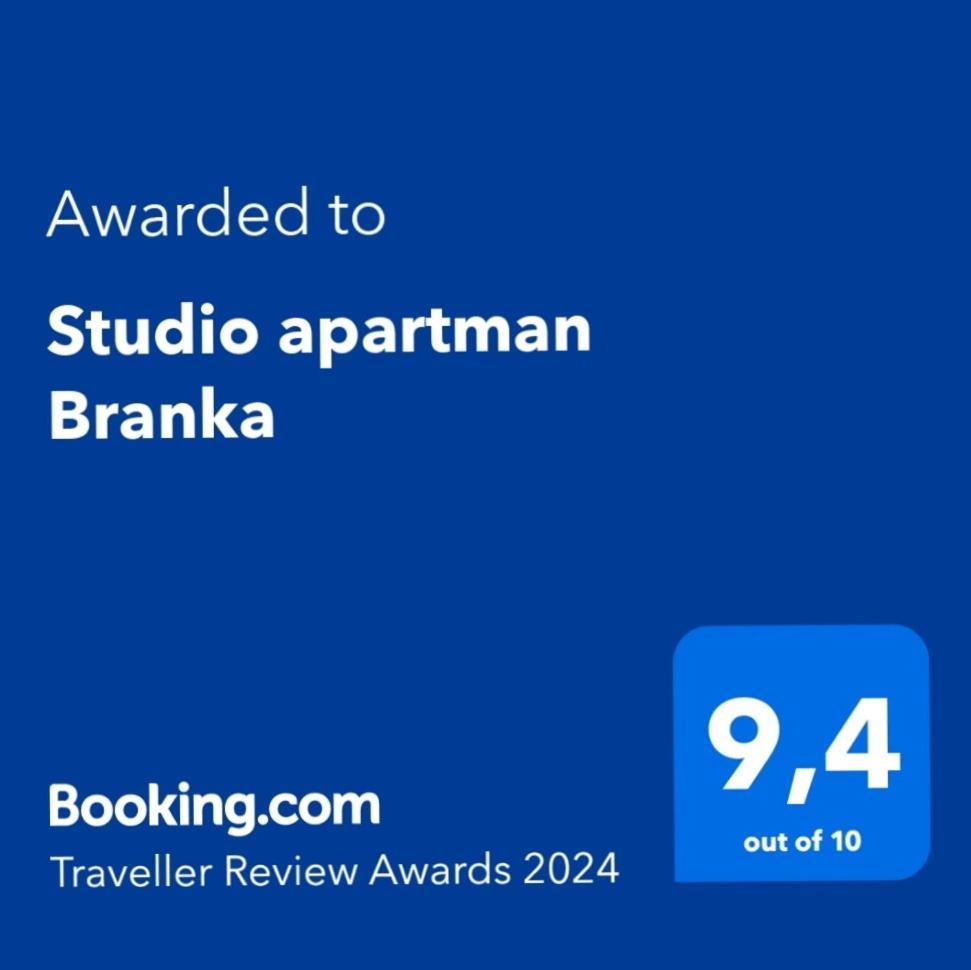 לאבין Studio Apartman Branka מראה חיצוני תמונה